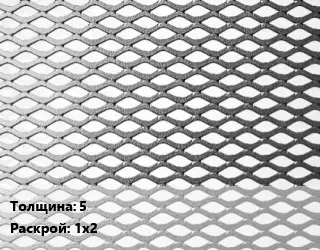 Лист просечно-вытяжной 5 1х2